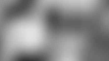 The man is wearing a dark suit, and the woman is in a white dress at Casa Feliz for their engagement photos at Winter Park