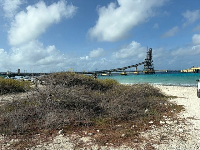 Salt pier dive spot