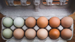 Introducing Innovation in a Box...