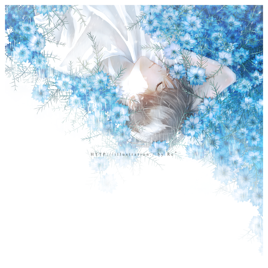#Anime #OC #Re #夢現 #DreamandReality #Pixiv