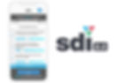 CG-SDI-Assessment.jpg