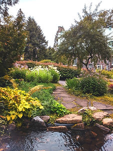 Yard Shark Landscape