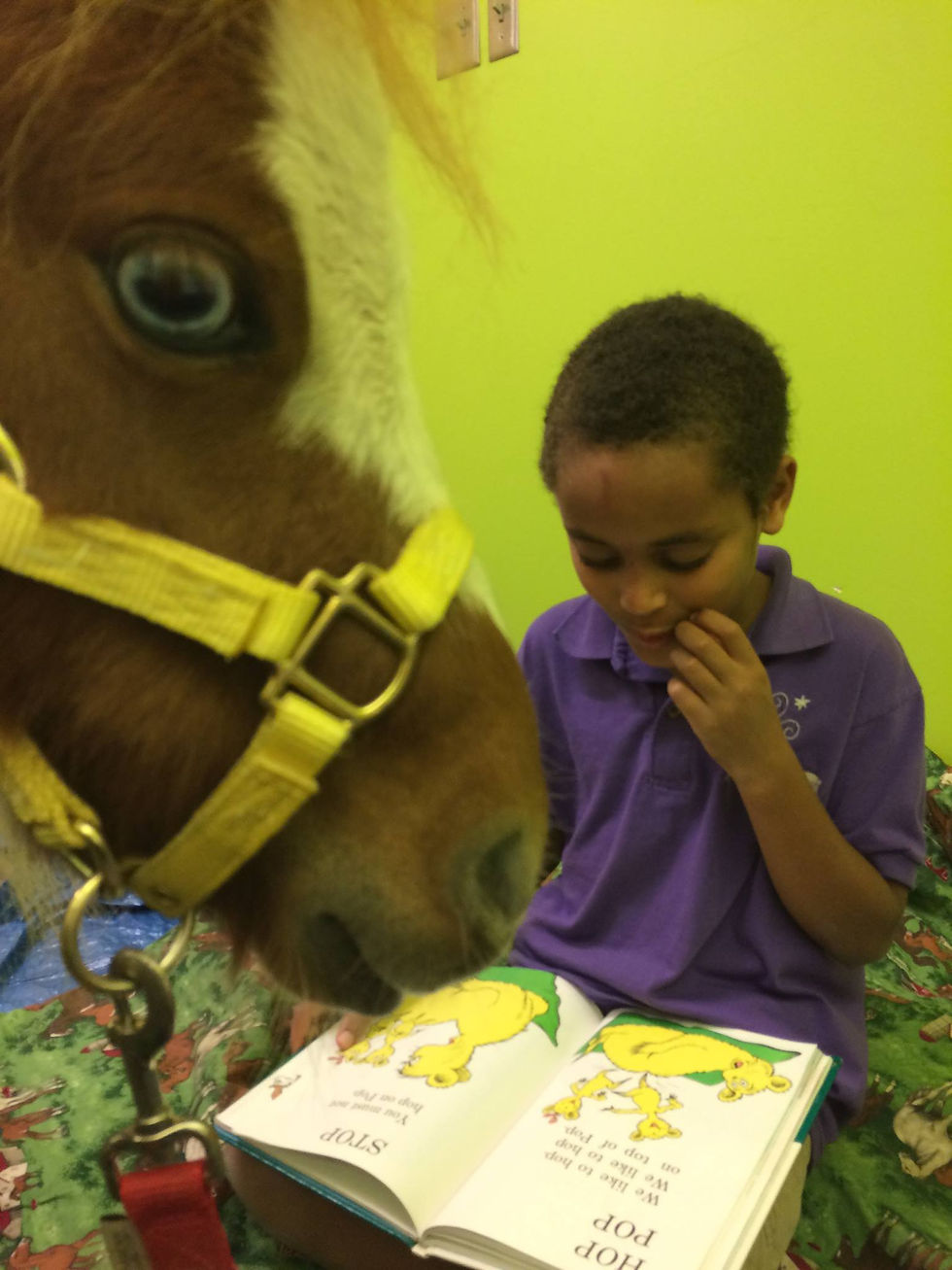 Topper loves Dr. Seuss!