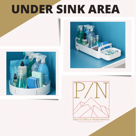 My Top 2 Items for Under Your Sink 