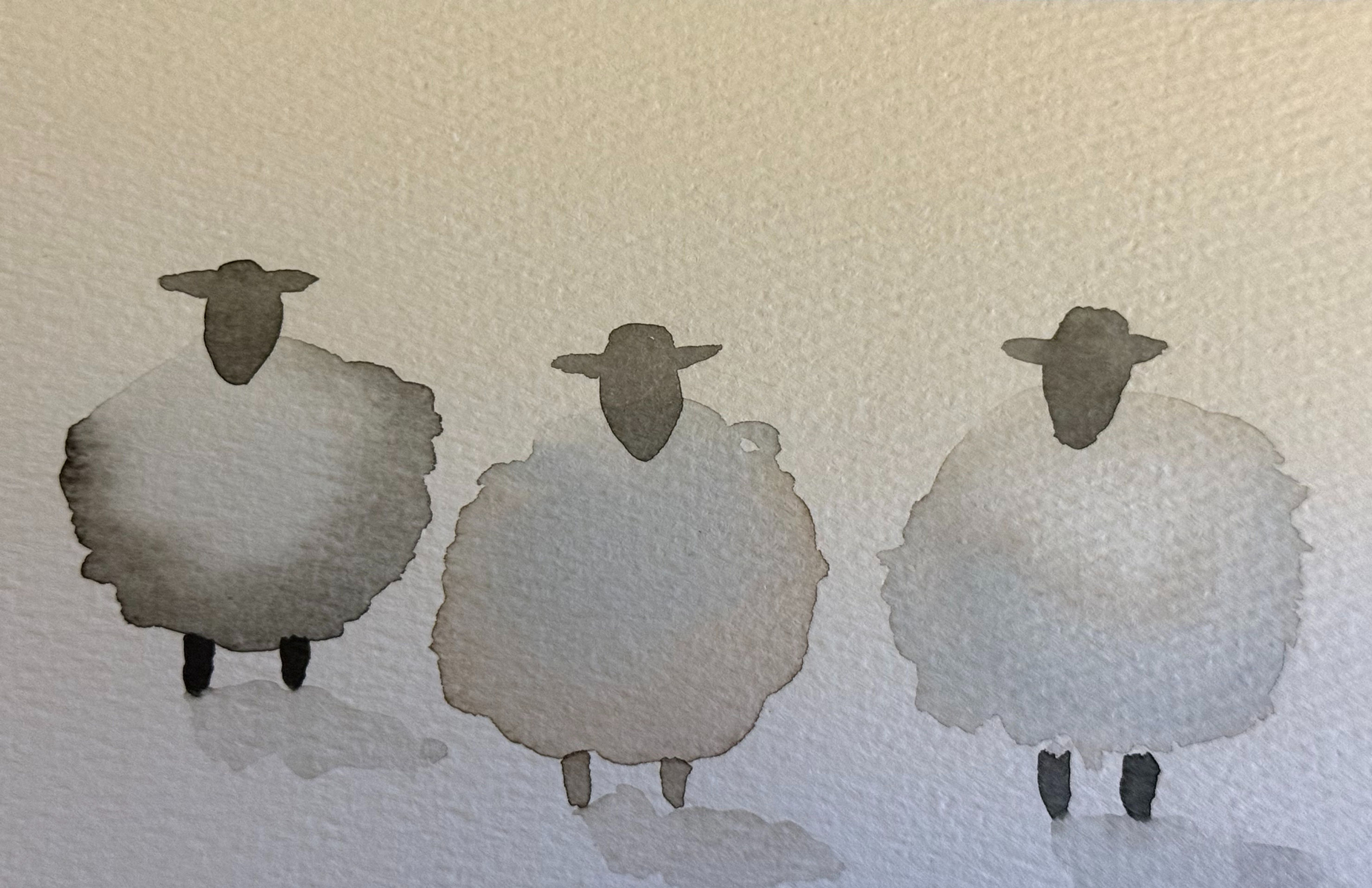 Three Sheep Notecard Set (8 folded cards w/ envelopes)