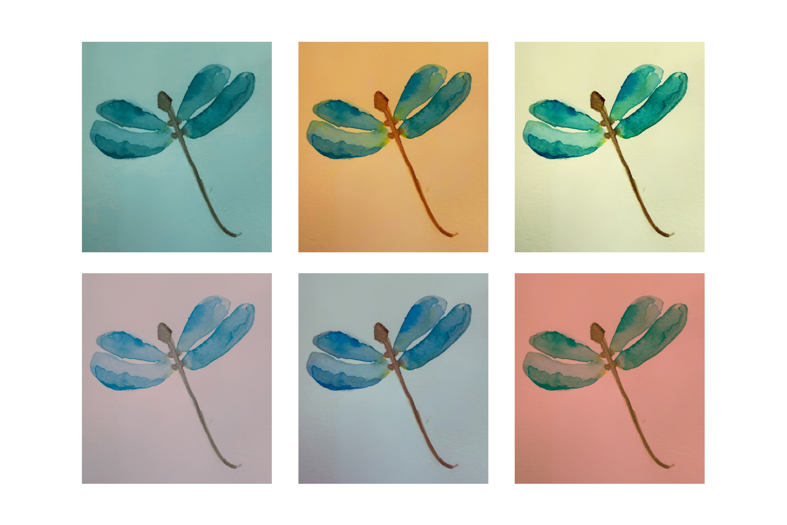 Dragonfly Notecard Set - Color Collection (10 flat cards and envelopes)