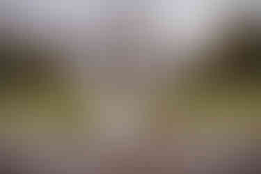 Trouwen op landgoed Sandenburg