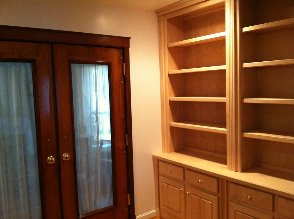 Custom Door Custom Bookcase