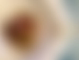 [小茴香甜桃豬排。自製異國情趣]