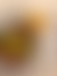 [啤酒啤酒啤酒。起司]