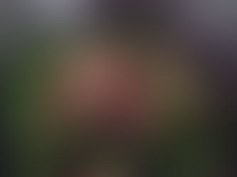 ［匈牙利牛肉。清冰箱］