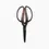 Thumbnail: Garden Scissors Walnut