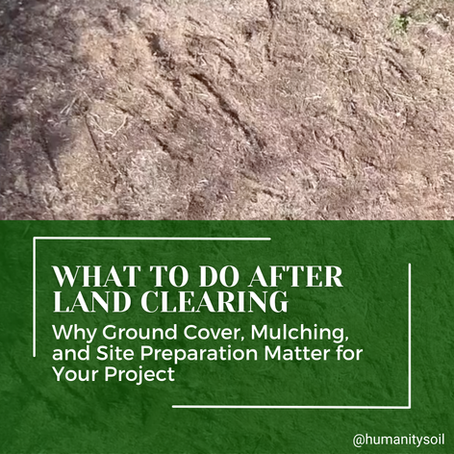 What to Do After Land Clearing