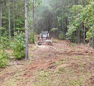 Kubota high flow skid steer performing forestry mulching and right of way and pathclearing