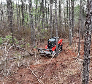 Kubota high flow skid steer performing forestry mulching and underbrush clearing