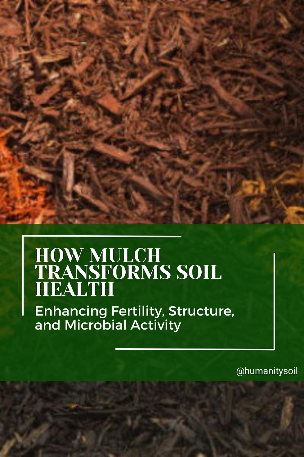 How Mulch Transforms Soil Health