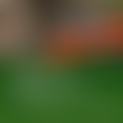 The Power of Recycling Green Waste