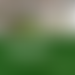 The True Cost of Land Clearing