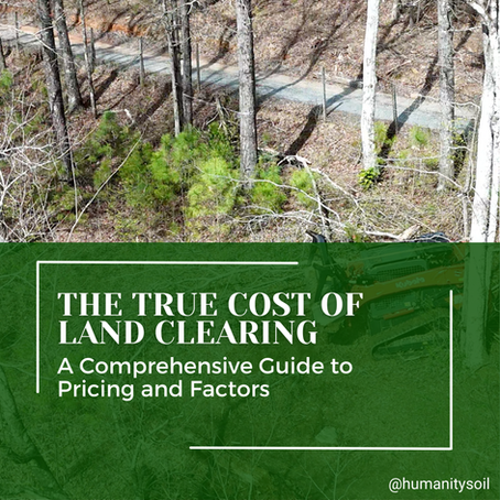 The True Cost of Land Clearing