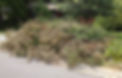 debris 1.jpeg
