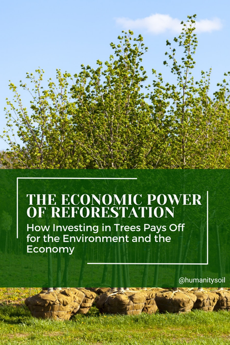 The Economic Power of Reforestation