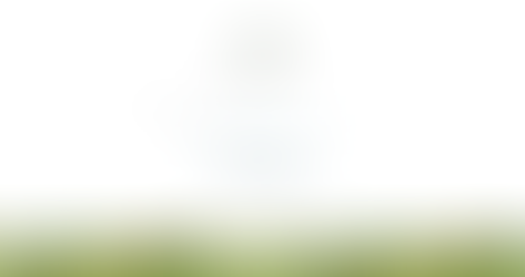 A search engine with a difference: Ecosia