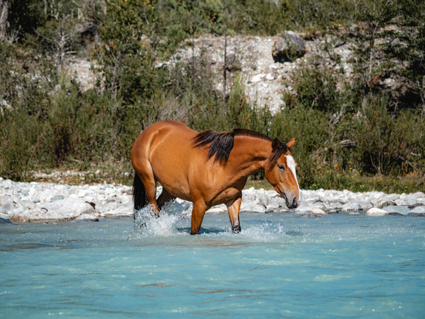 Patagonia East River - Segunda Cámara_14.jpg