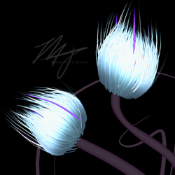 Whisp Flowers - Close Up