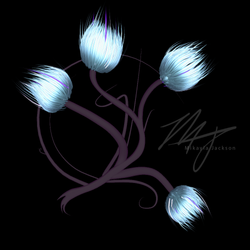 Whisp Flowers - Front