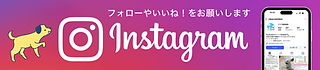 clear_Instagram01.jpg