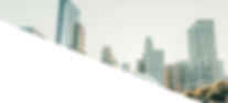 services-page_banner-chicago-park.jpg