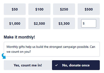 Donate A1 b.jpg