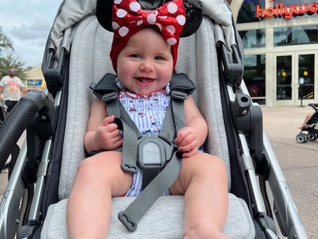 Uppababy Vista Stroller Gear