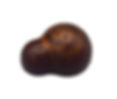 Orange Truffle