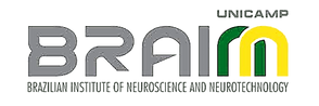 brainn_clipped_rev_1.png