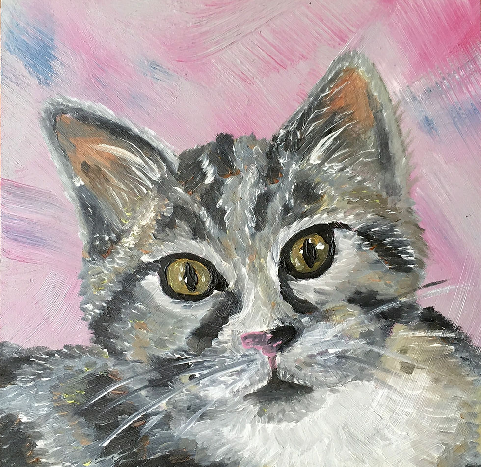 Tabby Cat | 6x6in | Framed Oil Painting
