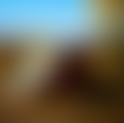 Exploring the Conveniences of Metal Building Construction