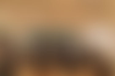 イベントレポートWeb3/NFTの可能性