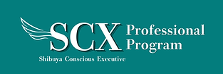 scxpp.png