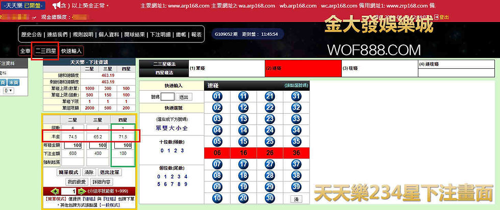 天天樂234星下注畫面