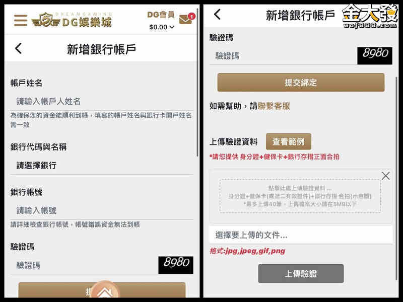 DG娛樂城儲值方式