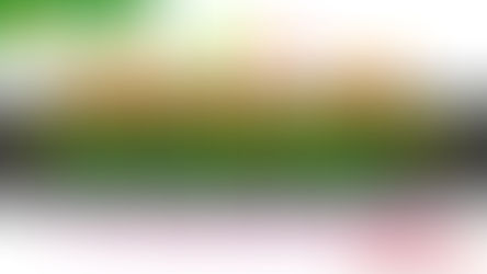 4大今彩539開獎號碼預測、中獎秘訣!抓貓膩一篇搞定!