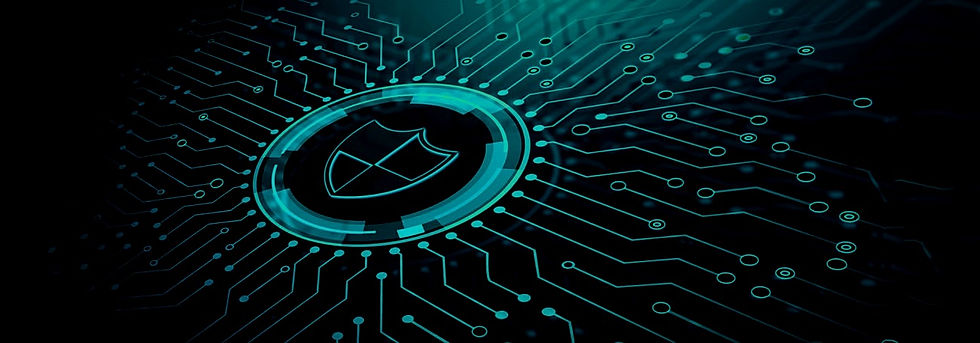 VTX Network Security Solution