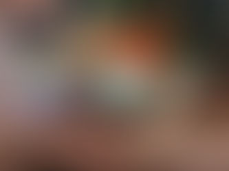 Pumpkins, Tomatoes, and the Art of Adjusting