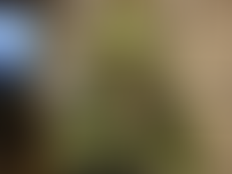 Letting Go... At Christmas