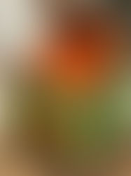 It's Not A Lack of Ambition