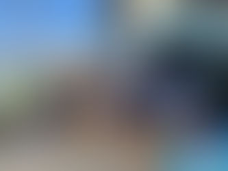 花いっぱい運動