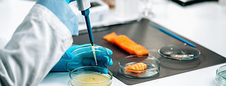 Fotografía de CCBIO, expertos en consultoría científica y biotecnología.