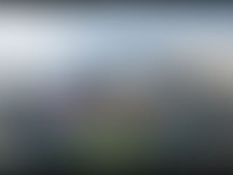 Economics Research Paper Review: Rethinking Detroit