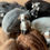 Thumbnail: Alpaca Wool Blend Fibre